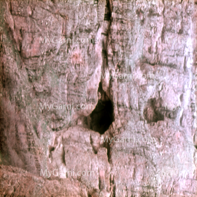 Main photo